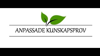 ANPASSADE KUNSKAPSPROV Förlängd tid muntligt teoriprov  Lektion 15 [upl. by Dougherty]