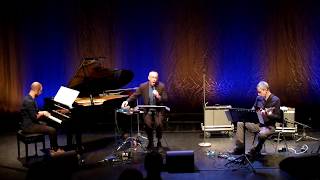 Theo Bleckmann Trio quotTeardropquot [upl. by Wanids416]