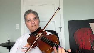 Day 113  Boyne River Reel  Patti Kusturok’s 366 Days of Fiddle Tunes [upl. by Ellohcin241]