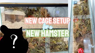 Natural Hamster Cage Setup for a New Hamster  German Inspired Enclosure  Haul 🐹🍄🌿 [upl. by Sapienza814]