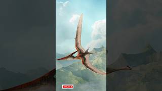 quotFlight of the Pteranodon facts history shortvideo [upl. by Buyers]