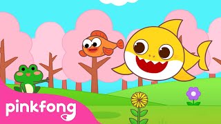 Hello Spring is Here 🌸  Spring Season  Weather for Kids  Spring Songs  Pinkfong Baby Shark [upl. by Bollen827]