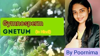 GnetumLife CycleGymnospermBy Poornima [upl. by Eralc278]