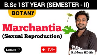 Live07  Reproduction in Marchantia Part02  2nd Semester Botany  By KD Sir [upl. by Erbas]