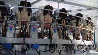 Boumatic Gascoigne Melotte Milking Machines Throughout Ireland [upl. by Aihsenot703]