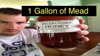 Easy 1 gallon Mead [upl. by Lesser]