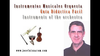 Instrumentos Musicales Orquesta  Guía Didáctica Fácil  Instruments of the orchestra [upl. by Willa805]