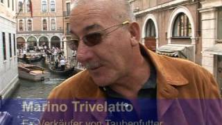 Venedig verjagt Tauben vom Markusplatz [upl. by Evania]