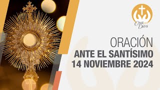 Adoración al Santísimo Jueves 14 Noviembre de 2024 Padre Luis Fernando Palacio 🙏 Ora Con Dios [upl. by Gaulin]