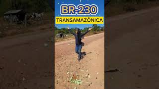 BR230 TRANSAMAZONICA 2024 [upl. by Rebmetpes]