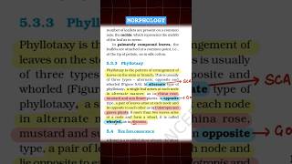 Phyllotaxy Trick  Morphology Examples trick  Class 11 shorts youtubeshorts neet [upl. by Downes]