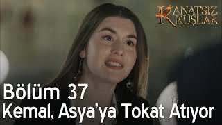 Kanatsız Kuşlar 37 Bölüm  Kemal Asyaya tokat atıyor [upl. by Ynneb417]