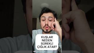 Sürekli Bağıran Kuşlar Sebepleri [upl. by Genevieve]