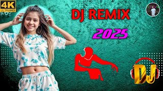 Olite Golite Remix Tumi Radha Ami Shyam Remix DJ Music Target [upl. by Yhotmit]