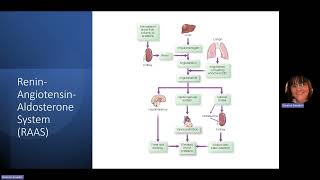 Module 4Emergent GenitourinaryGastrointestinal Disorders [upl. by Adnalay]