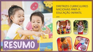 DIRETRIZES CURRICULARES NACIONAIS para a Educação Infantil  DCNEI  Resenha [upl. by Inoj101]