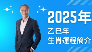 有繁體字幕 🌟2025年乙巳年生肖運程🌟 流年運程 十二生肖運程 2025運程 生肖運程 風水 運程 財運 [upl. by Namar]