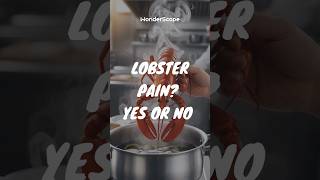 Is Lobster Pain REAL or Just a Myth [upl. by Nikita]