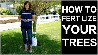 How to Fertilize Trees [upl. by Anertal]