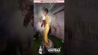 Wedding guest ❤️ please subscribe 🙏🙏 wedding weddingvideo weddings weddingdance asoebistyles [upl. by Patin]