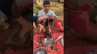 Amazing Fish Cutting Skills youtubeshorts viralvideo fishcuttingskills [upl. by Rehtul]