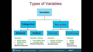 Jurisprudence  Scope  Purpose  Objectives  Significance [upl. by Eelrahs]