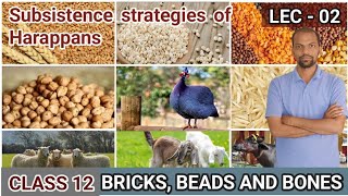 Bricks Beads and Bones Subsistence strategies of Harappans History Class 12 ArtsAcademyr [upl. by Ebbarta]