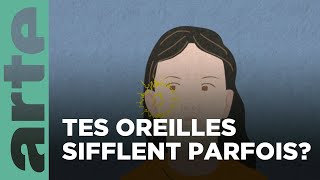 Pourquoi nos oreilles sifflentelles parfois   Vos questions 💡  ARTE Family [upl. by Silver]