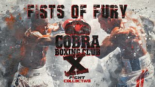 Louis Hetherington vs Brad Green  COBRA BOXING FIST OF FURY X [upl. by Elem224]