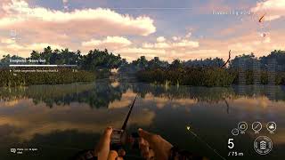 Fishing Planet Everglades [upl. by Salvatore188]