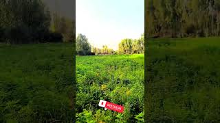 Badakhshan Afghanistan foryou viralvideo youtubeshorts youtube nice viralshorts reels music [upl. by Odnaloy415]