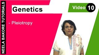 Genetics  Principles of Inheritance amp Variations  Pleiotropy  NEET  Neela Bakore Tutorials [upl. by Nas]