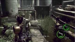 Resident Evil 5  They Belong in a Museum Trophy Guide [upl. by Asiuol]