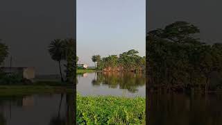 My beautiful village❤️❤️ villagelife shortvideo oldbengalisong puraniyade villagebeauty [upl. by Love743]