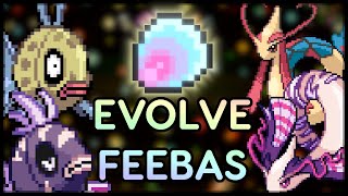 How to Evolve AEVIAN and Regular Feebas in Pokemon Rejuvenation V13 [upl. by Viridis]