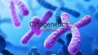 CSIR Basic concept of Cytogenetic  karyotype   BioLog [upl. by Seitz]