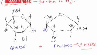 Bio B2  Disaccharide Macromolecules [upl. by Nikal]