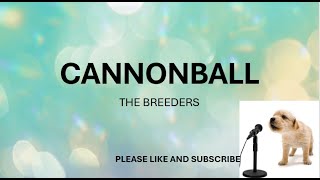 CANNONBALL BY THE BREEDERS LYRICS [upl. by Michi]