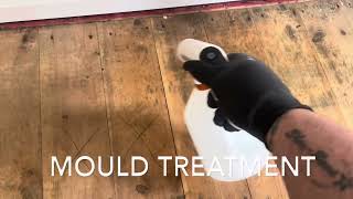 Cleaning mould from carpet sub floor cleaning new underlay amp restretching [upl. by Milone]