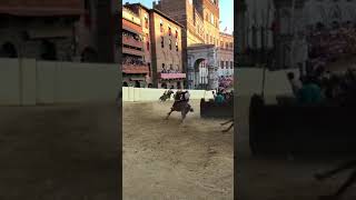 Palio Siena Italy Horse Race [upl. by Eldnek473]