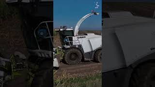 Claas large capacity silage machine Fendt large capacity tractorreaper modern shorts viralvideo [upl. by Westhead]