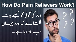 How Do Pain Relievers Work [upl. by O'Malley]