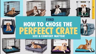 How to Choose the Perfect Crate for Your Dog [upl. by Pfister]