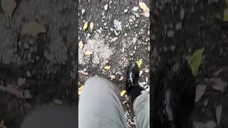 Autumn rubber boots walk [upl. by Caspar]