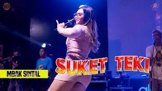 AMAZING  SUKET TEKI  GOYANG MERESAHKAN MBAK SINTAL 23 JANDHUT DANGDUT JOGJA [upl. by Ihskaneem]