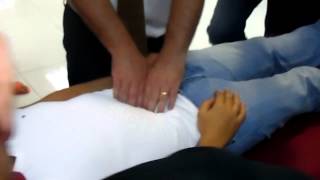 Osteopathy International course  Visceral Manipulation  Mesentry Technique [upl. by Oicram]