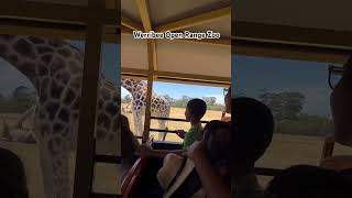 Werribee Open Range Zoo ❤️ [upl. by Blunk]