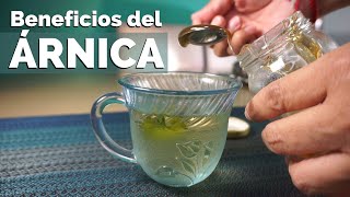 Beneficios del TÉ de ÁRNICA [upl. by Nimref832]