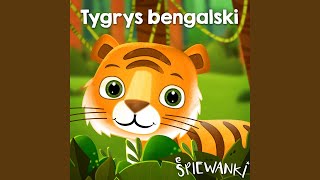 Tygrys bengalski [upl. by Carina610]