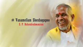 Vanamellam Shenbagapoo  Nadodi Pattukkaran 1992  High Quality Song [upl. by Nerissa]